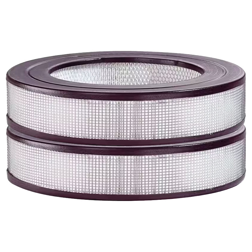 Honeywell 2 Pack of True HEPA Filters F (Replaces Filters 21500, 22500 and 23500)