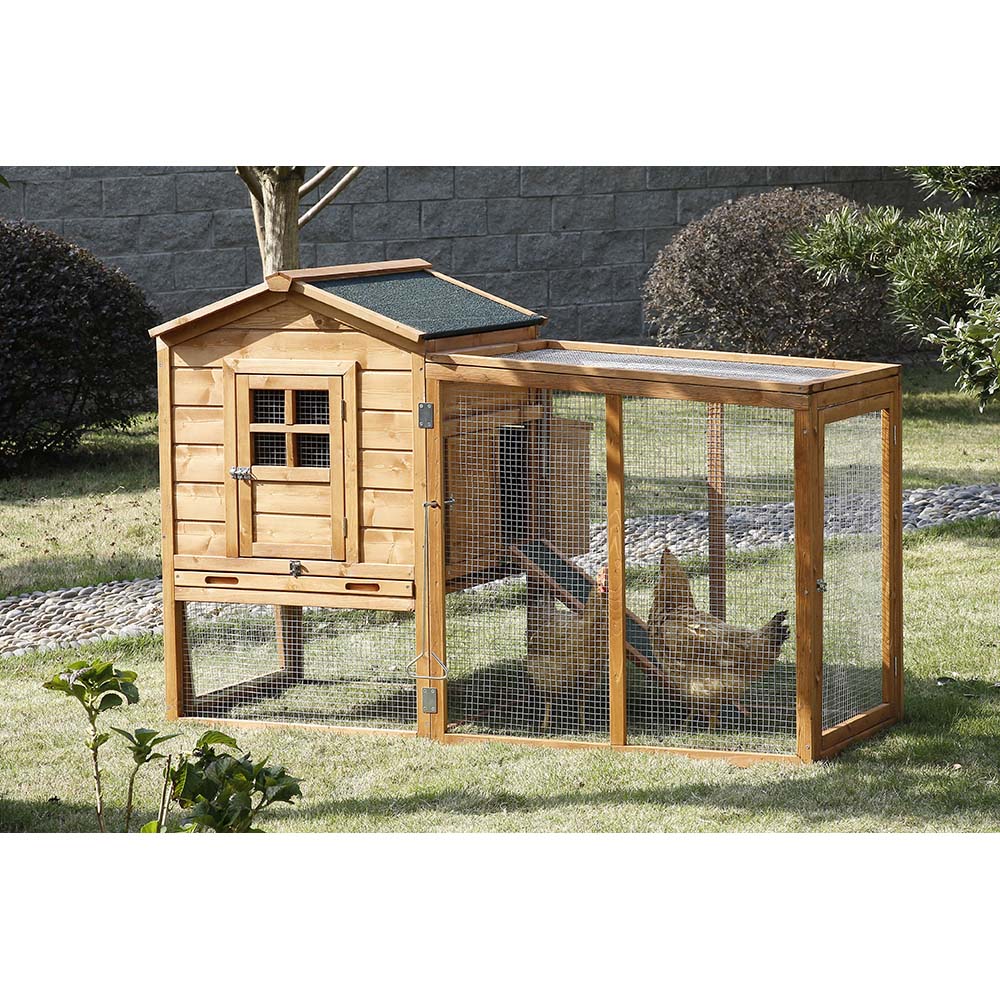 Walmart Chicken Coops Chicken Coops Solar Chicken Coop Light