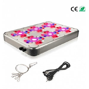 Light Efficient Design 540 Watt Programmable Grow Light